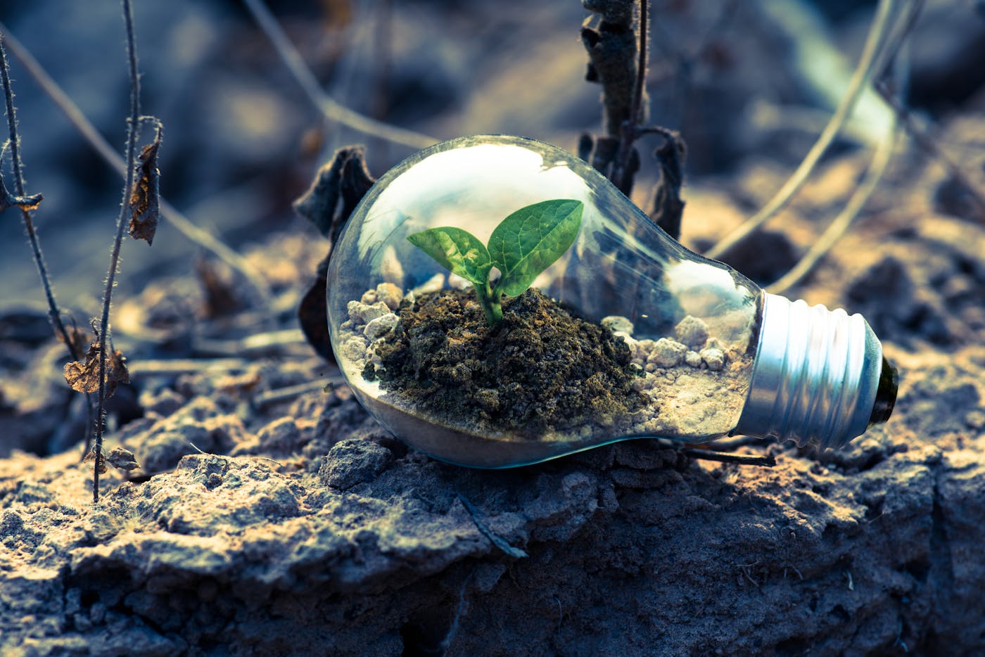 Irrigation that sticks: smarter watering, less waste, fewer “oops” days